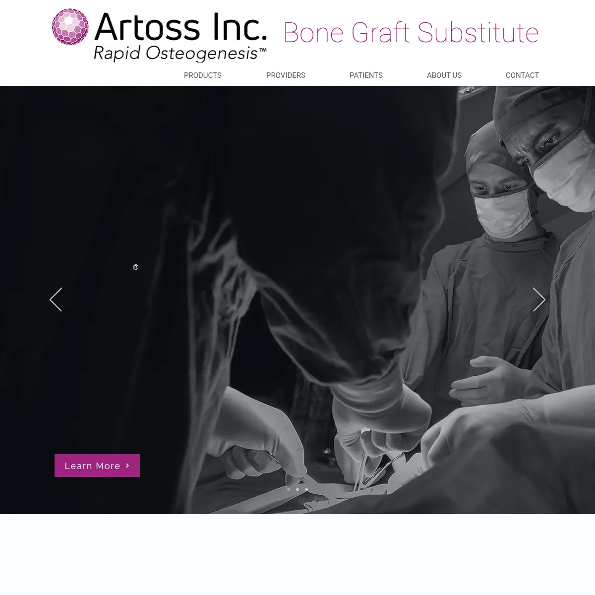 Preview of the Nanobone and Artoss website